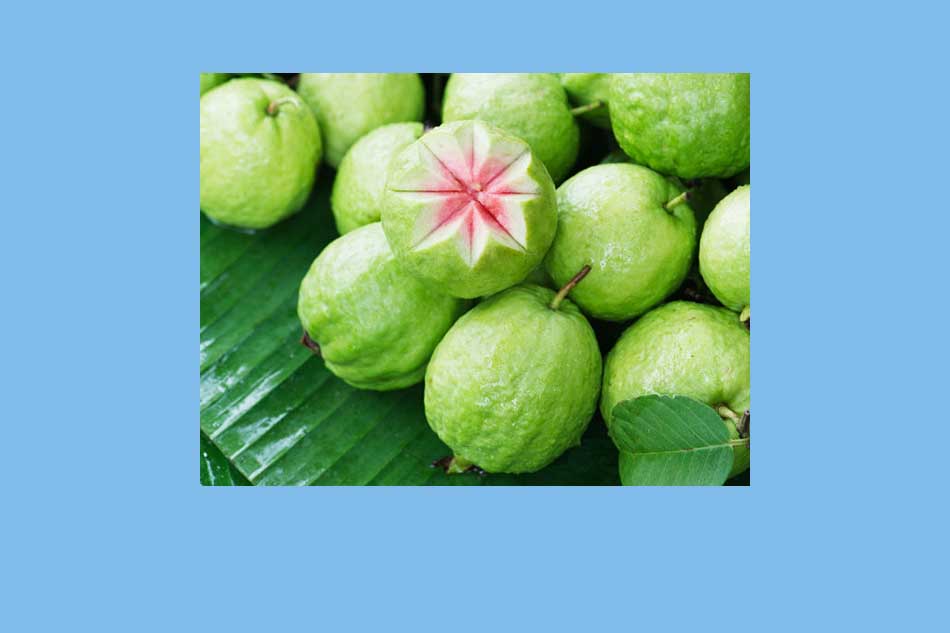 Ổi là một trong những loại thực phẩm rất giàu vitamin C 